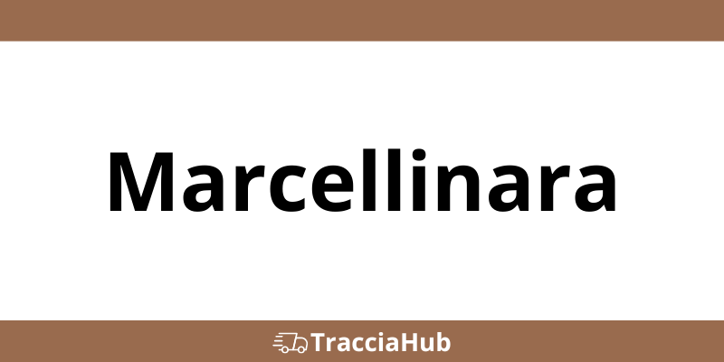 Centro UPS Marcellinara