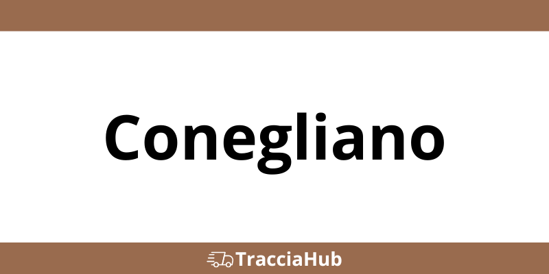 Centro UPS Conegliano